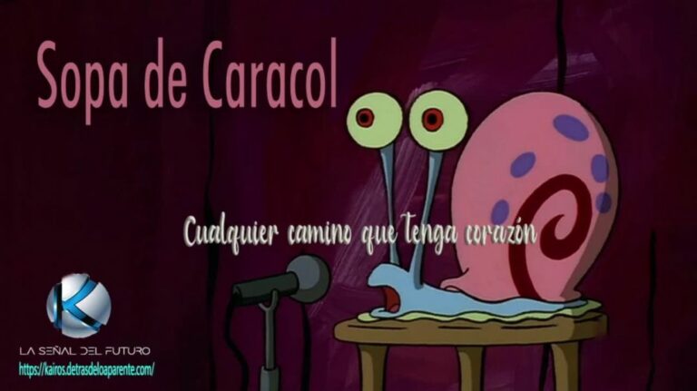 SOPA DE CARACOL