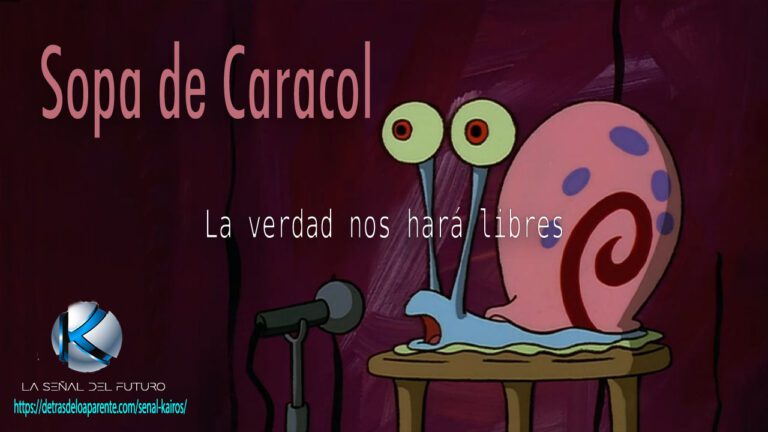 SOPA DE CARACOL